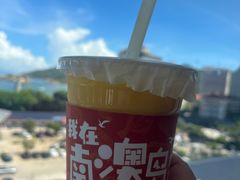 -南澳岛打卡果汁冰公司