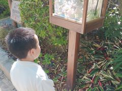 -厦门日月谷温泉渡假村