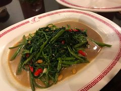 -中国城银都鱼翅酒楼