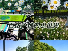 -虎丘湿地公园