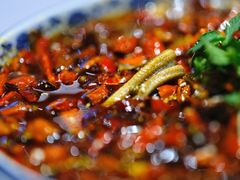 巴蜀毛血旺-老阊门菜馆(山塘街店)
