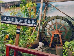 -老崇左特色风味食馆