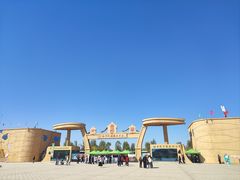 -金塔沙漠胡杨林景区