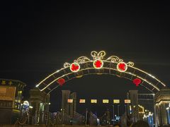 -武汉知音号