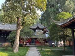 -子昂故里文化旅游区