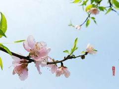 -视禾摄影培训(越秀区分部)