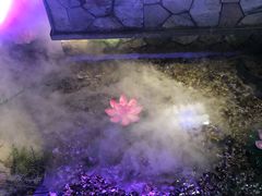 大堂-首秀·四川料理(星耀101店)