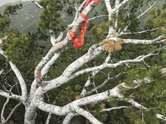 -少华山国家森林公园