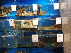 水产区-大唐名家·息壤店