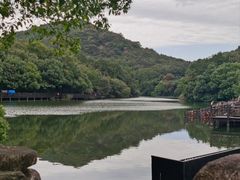 -白马涧龙池景区