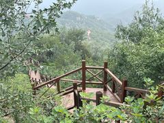 -大岭沟猕猴桃谷风景区