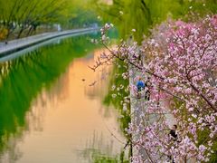 -南长河公园