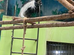 -石家庄市动物园