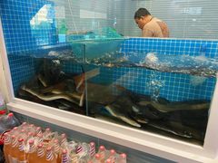 -金家炭火烤肉烤鳗鱼(环球中心店)