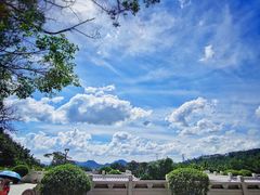 -深圳仙湖植物园-停车场