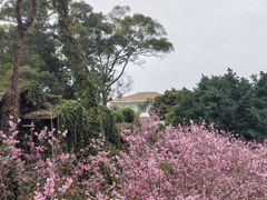 -狐尾山公园