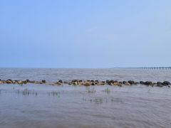 -南汇新城海滩