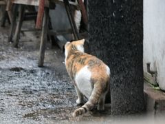 -小河无名面馆