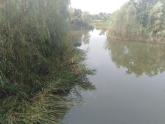 -梁鸿国家湿地公园