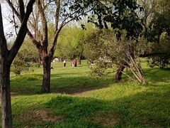 -蜀冈西峰生态公园