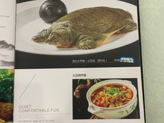 -高坎一品甲鱼庄(两河店)