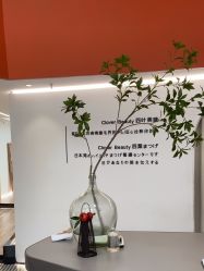 -Clover Beauty四葉美睫