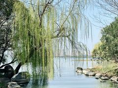 -长广溪湿地公园