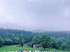 -武陵山森林公园