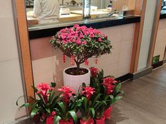 -东方饺子王(新阳路店)