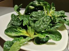 菠菜-海底捞火锅(金光华店)