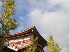 -莆田南少林寺