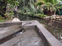 -成都市活水公园