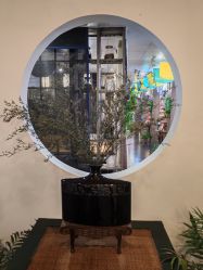 -保丽宝泰母婴护理院·月子中心·产康·中医(常州店)