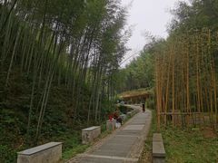 -塔川景区