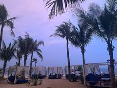 -精酿农场Brew Farm·沙漠绿洲餐厅