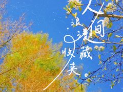-长春净月潭风景名胜区