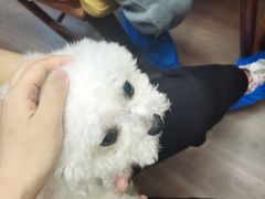 -伽利略剧本探案馆(国贸店)