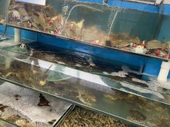 -仙螺岛海鲜自助餐厅(总店)