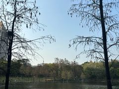 -深圳龙潭公园