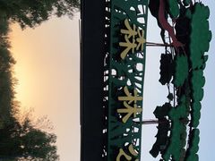 -森林公园(尖草坪区)