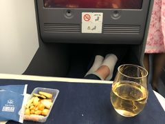 -全日本空输株式会社(上海办事处)