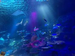 -沈阳海洋探索中心