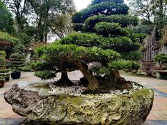 -南山植物园
