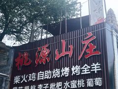 -桃源山庄·水蜜桃采摘·柴火鸡·烧烤团建(龙泉山店)