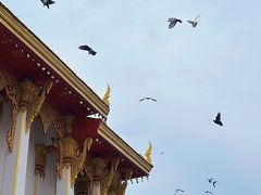 -洛阳白马寺