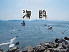 -深圳湾公园(南山区)