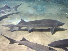 -福州罗源湾海洋世界旅游区