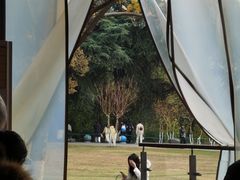 -鸡鸣汤包(红山动物园店)