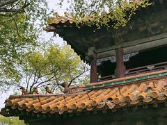 -北陵公园