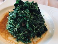 -苏州茉莉花酒店